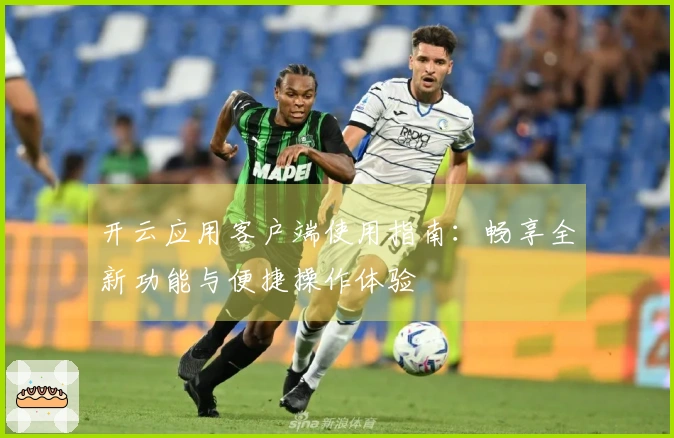 开云应用客户端使用指南：畅享全新功能与便捷操作体验