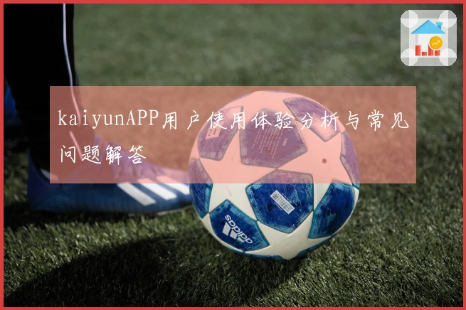 kaiyunAPP用户使用体验分析与常见问题解答