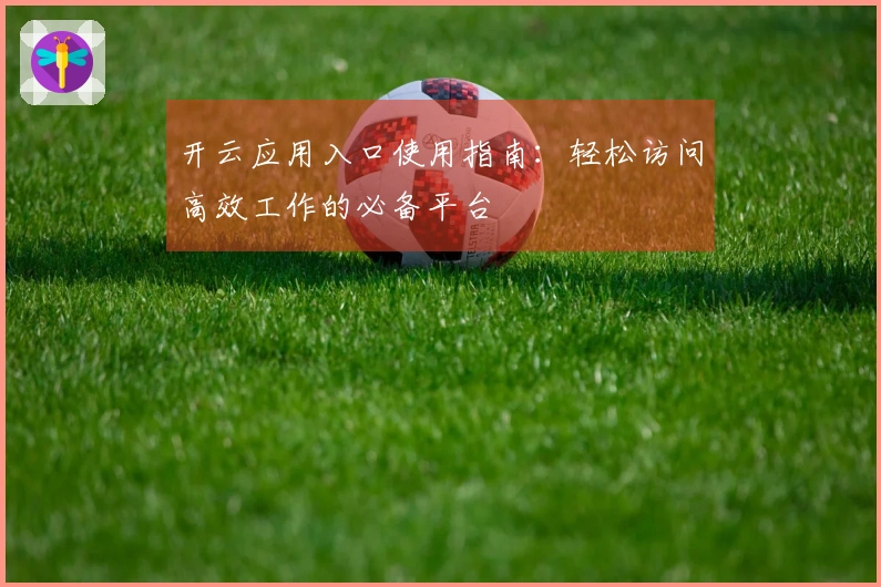 开云应用入口使用指南：轻松访问高效工作的必备平台