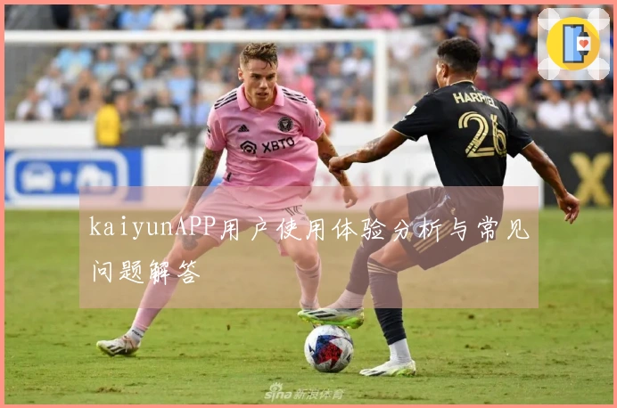 kaiyunAPP用户使用体验分析与常见问题解答